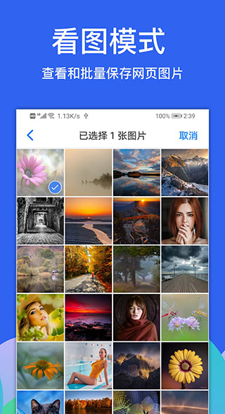 Alook浏览器APP截图