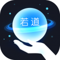 若道安卓版v2.11.2APP图标