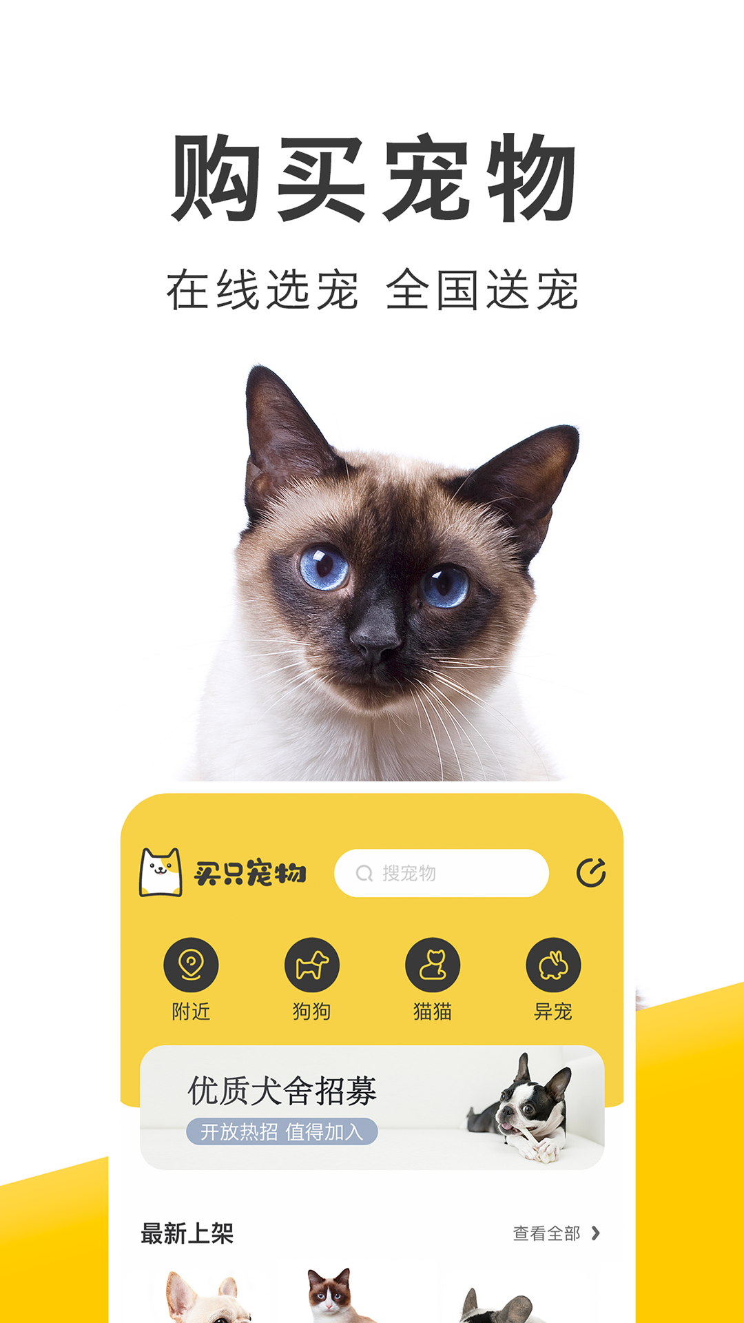 买只宠物安卓版v4.2.6APP截图