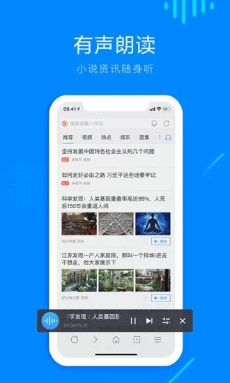 Safari浏览器APP截图