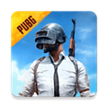 pubg体验服手机游戏