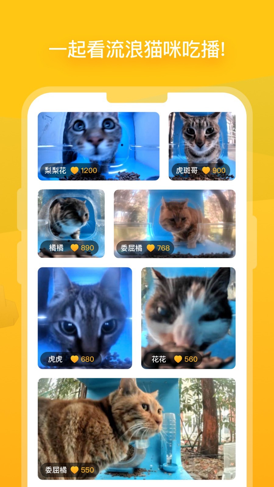 街猫安卓版v1.29.0