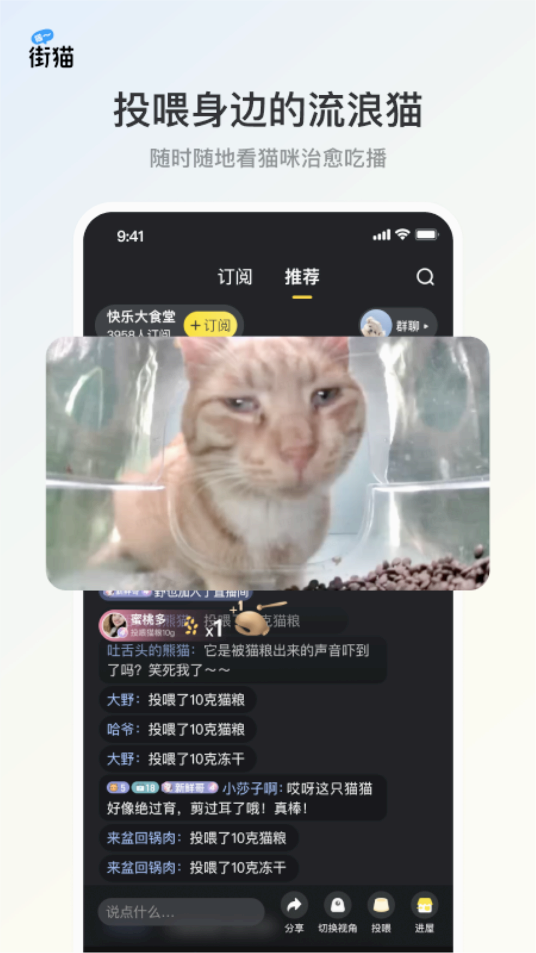 哈啰街猫下载