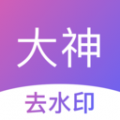 大神水印安卓版v2.7.2APP图标