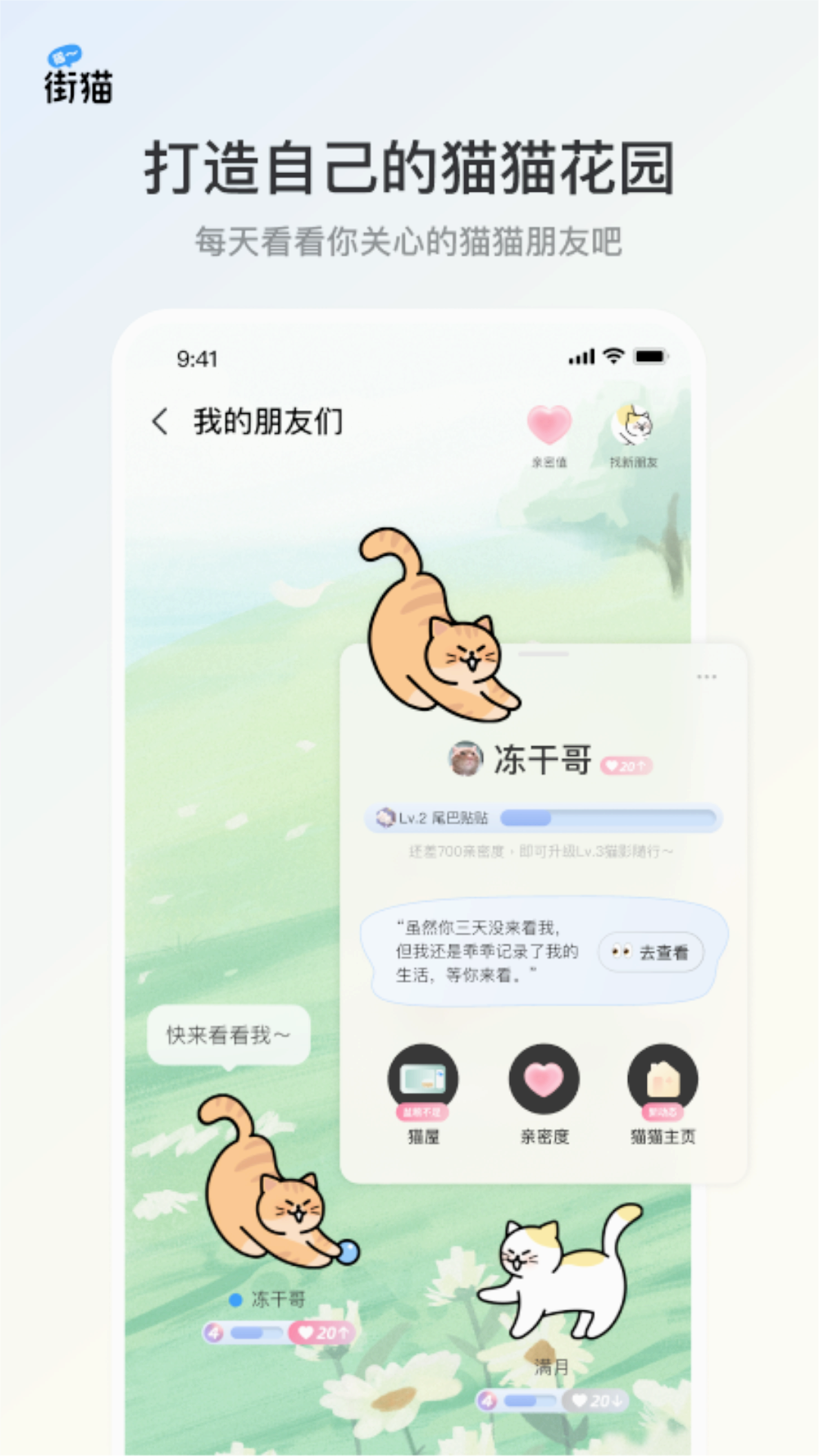 哈啰街猫下载