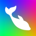 Flow Photo安卓版v6.6.0.1