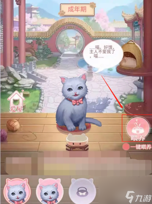 后宫秘史怎么喂出大猫 爱江山更爱美人（后宫秘史）如何养宠物