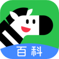 斑马百科安卓版v1.28.0APP图标