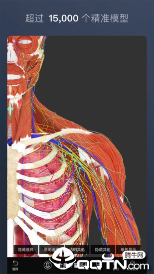 维萨里3D解剖APP截图