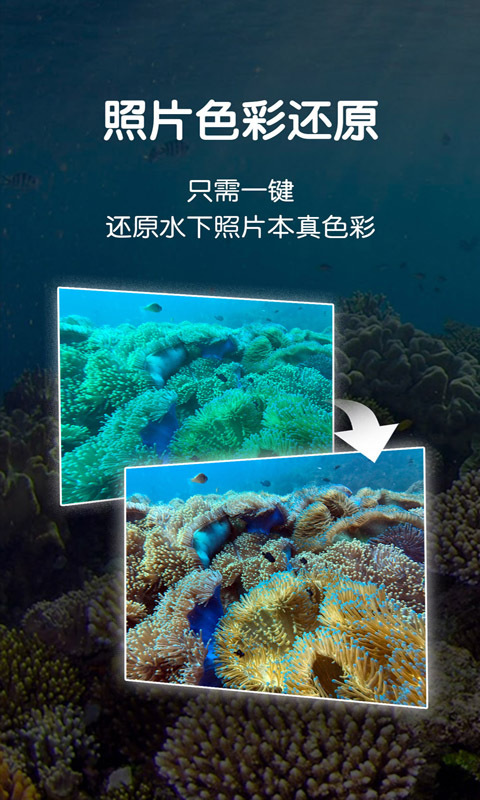 DivePlus安卓版v3.6.5