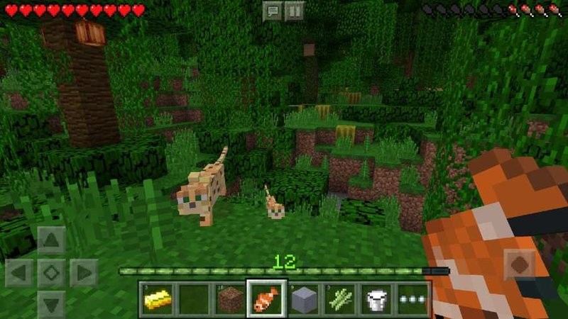 minecraft1.21国际版 下载