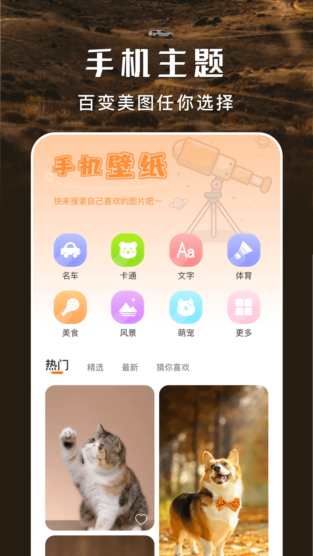 主题盒安卓版v1.5APP截图