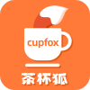 茶杯狐 Cupfox