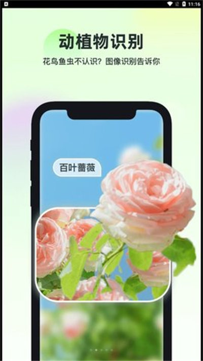 智能识万物appAPP截图