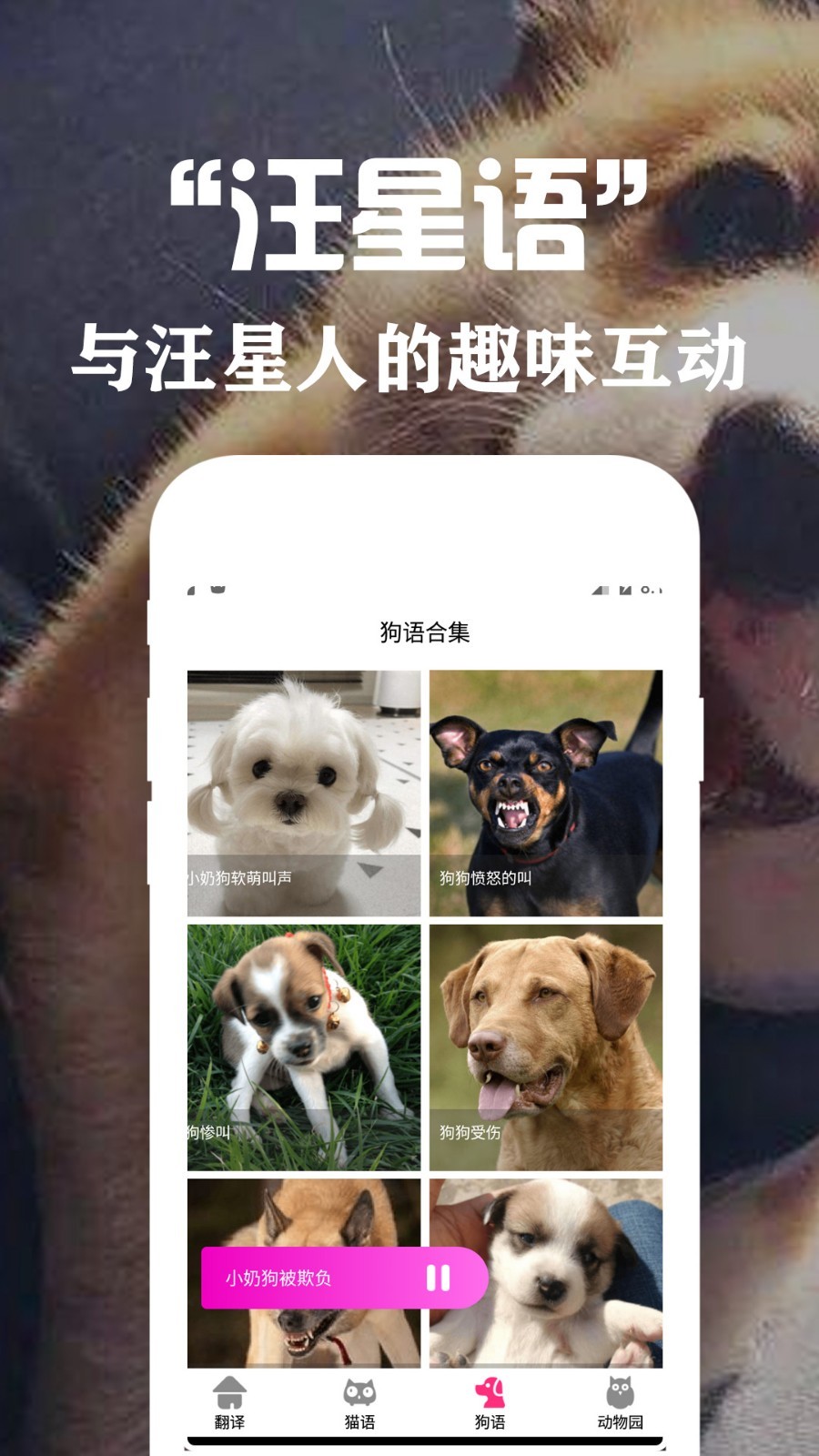 狗语翻译交流器安卓版v3.4APP截图