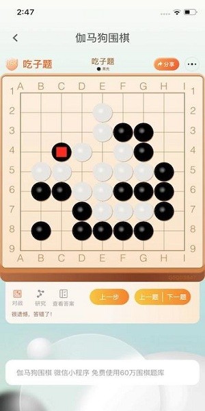 伽马狗围棋