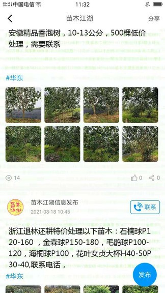 苗木江湖appAPP截图