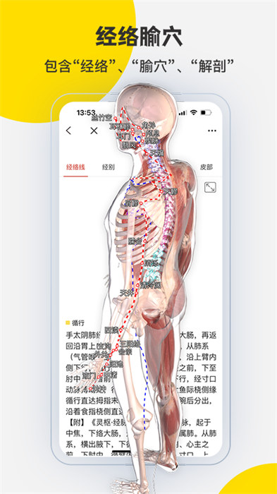 3dbody三维免费人体解剖软件APP截图