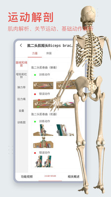 3Dbody解剖安卓版v8.8.22APP截图