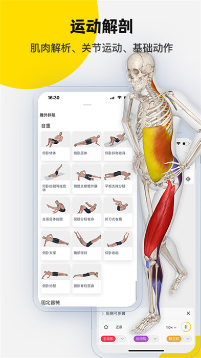 3dbody三维免费人体解剖软件APP截图