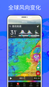 windy 官方版