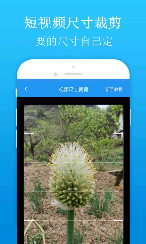 去水印吧APP本APP截图