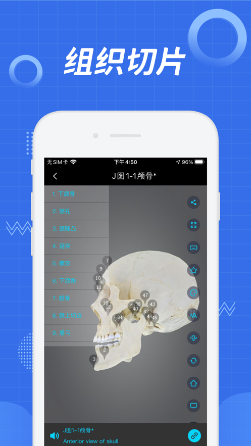 医维度解剖APP截图