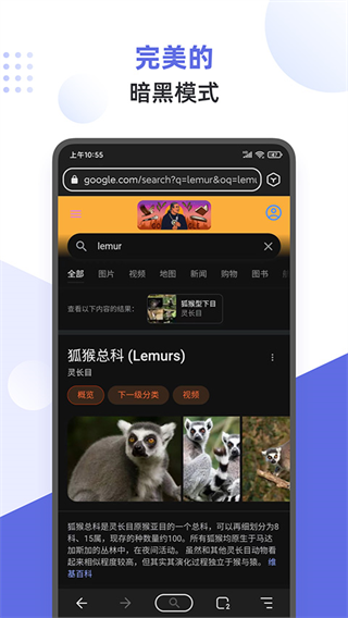 狐猴浏览器APP截图