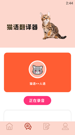 摸摸小猫手机版