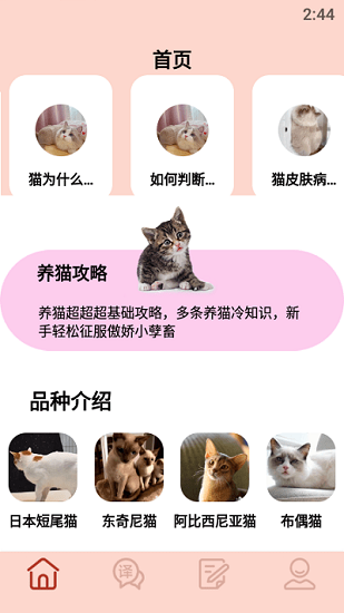 摸摸小猫手机版