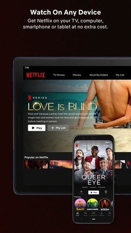 奈飞netflix 官网中文版