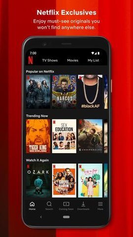 Netflix 免费下载