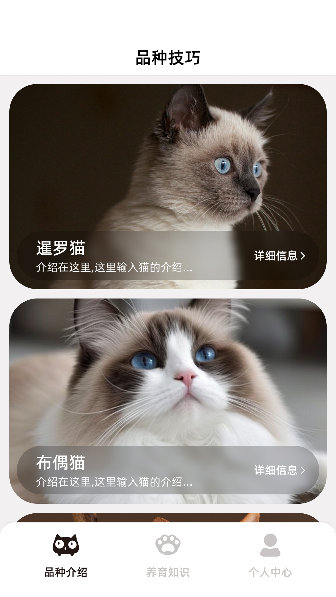 开心招财猫安卓版v1.0.0.0