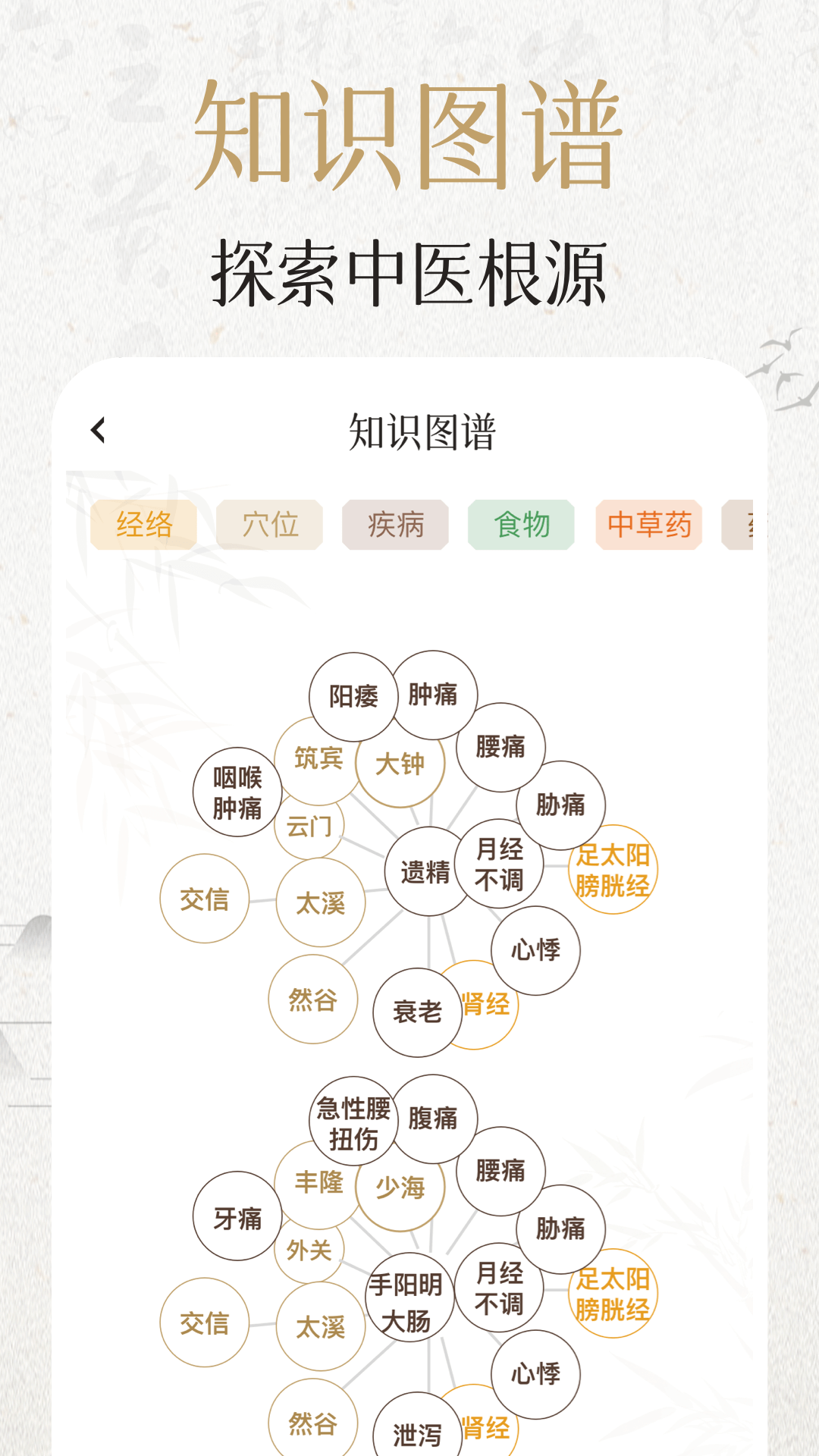 中济经络穴位安卓版v2.13.0